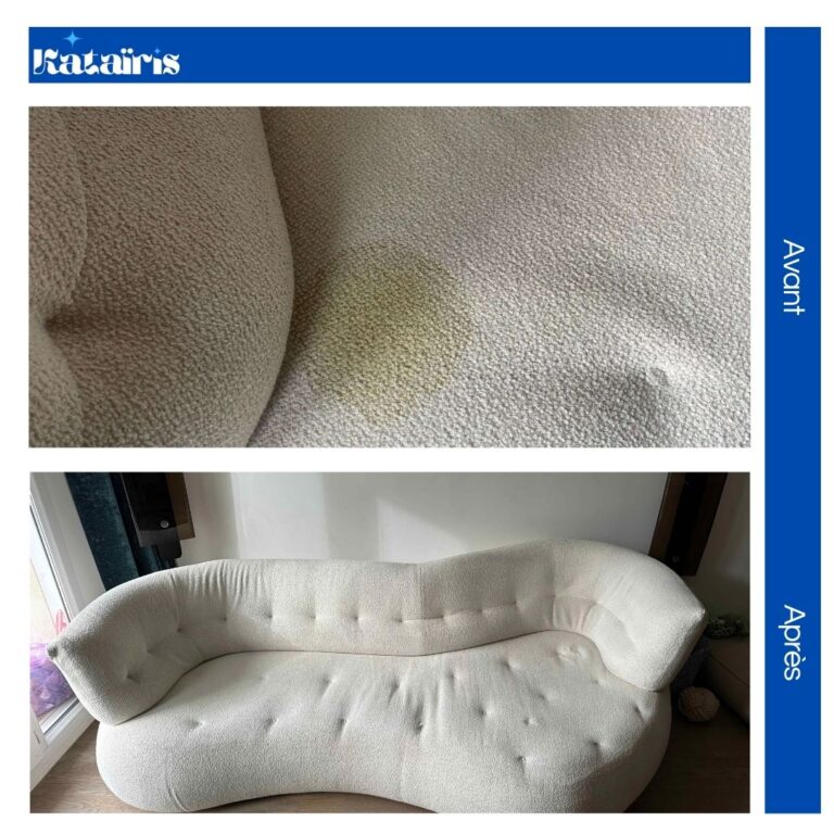 avant après canapé blanc roche bobois vomi chien